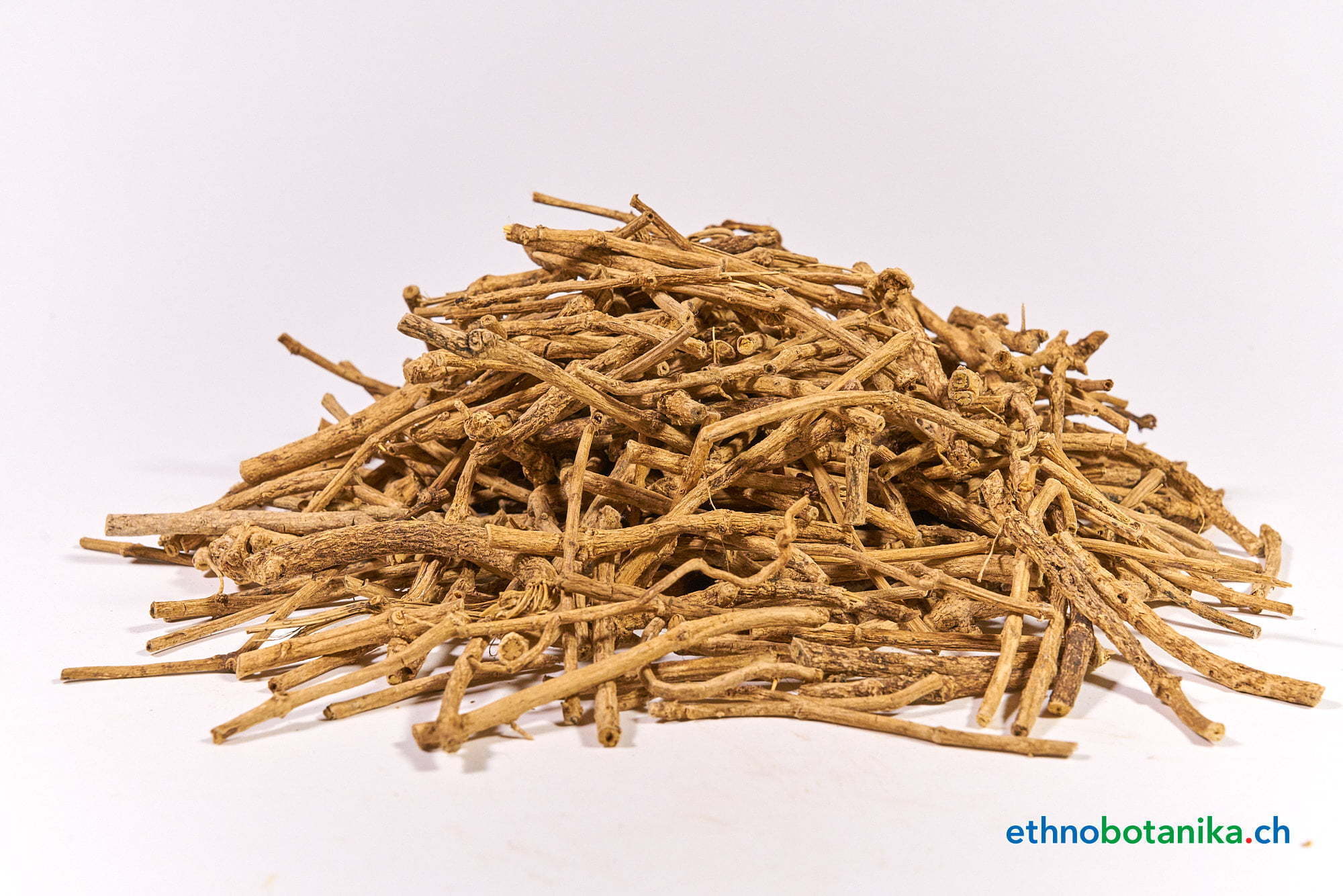 Silene capenensis 03