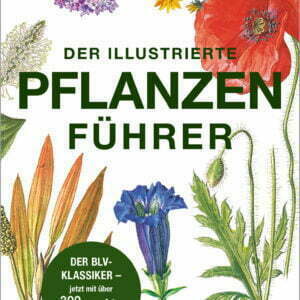 Der illustrierte Pflanzenführer - Der BLV-Klassiker - jetzt mit über 300 neuen Arten - buch
