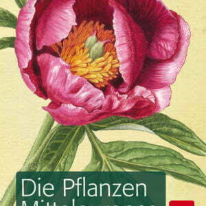 Die Pflanzen Mitteleuropas - Über 1500 Arten - buch