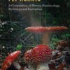 Fly Agaric - A Compendium of History, Pharmacology, Mythology, & Exploration - buch