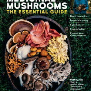 Christopher Hobbs's Medicinal Mushrooms: The Essential Guide - buch