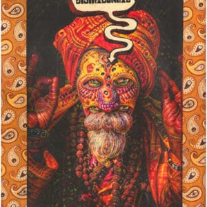 Alternative view of Shock! Magazine – fake news since 1965 - buch